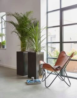 Capi Europe - Bloempot Rechthoek Smooth NL - 36x36x79 - Zwart - Voor Binnen En Buiten - KBL952 -Tuingereedschap Serie Winkel 941x1200 3