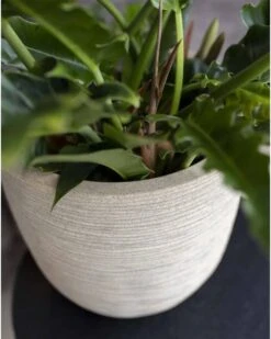 Capi Europe - Bloempot Bol Waste Rib NL - 43x41 - Terrazzo Beige - Voor Binnen En Buiten - KTBR933 -Tuingereedschap Serie Winkel 960x1200 13