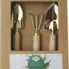 Botang 3-delige Metalen Tuingereedschap Set, Mini Troffel, Harkje En Transplanter - Opgelet Mini Set -Tuingereedschap Serie Winkel 960x1200 2