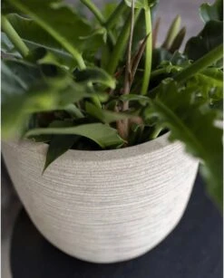 Capi Europe - Bloempot Bol Waste Rib NL - 35x34 - Terrazzo Beige - Voor Binnen En Buiten - KTBR932 -Tuingereedschap Serie Winkel 967x1200