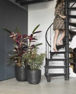 Capi Europe - Bloempot Bol Rib NL - 35x34 - Zwart - Voor Binnen En Buiten - KBLR932 -Tuingereedschap Serie Winkel 972x1200 4