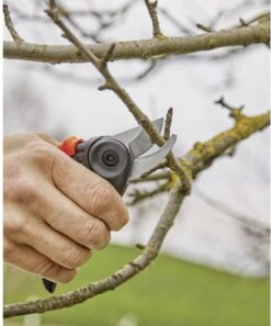 GARDENA - ExpertCut - Snoeischaar - 22 Diameter Tak -Tuingereedschap Serie Winkel 999x1200 1